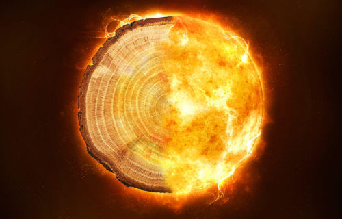 Mysteries of the Carrington Event, the largest solar superstorm in modern times, unraveled by tree rings